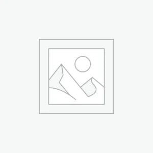 The Innovator's Dilemma